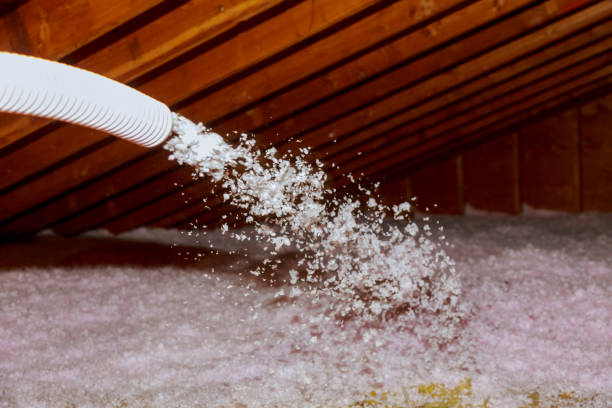 Best Wall Insulation Contractor  in Cayuga Heights, NY