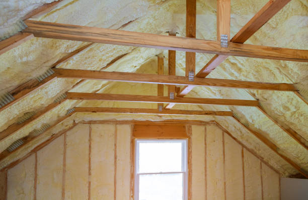 Best Insulation Contractor Near Me  in Cayuga Heights, NY