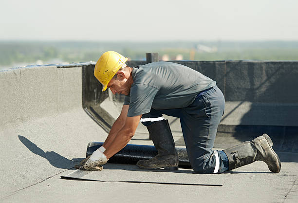 Best Local Insulation Services  in Cayuga Heights, NY