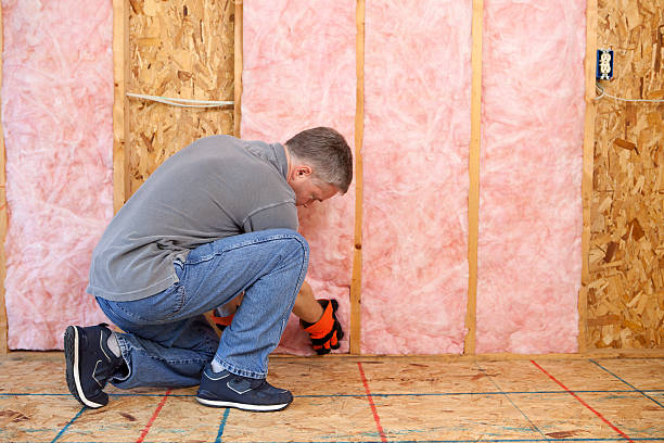 Best Wall Insulation Contractor  in Cayuga Heights, NY