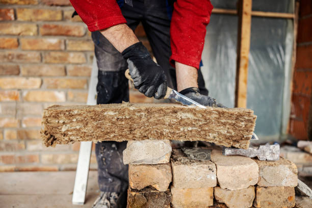 Best Insulation Contractor Near Me  in Cayuga Heights, NY