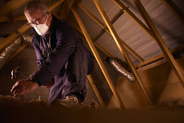 Best Attic Insulation Installation  in Cayuga Heights, NY