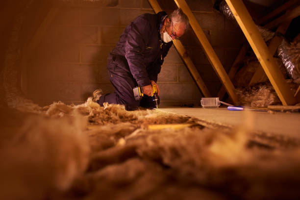 Professional Insulation Contractor in Cayuga Heights, NY